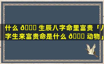 什么 🐎 生辰八字命里富贵「八字生来富贵命是什么 🐘 动物」